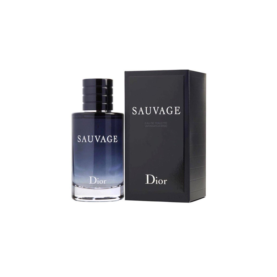 Presentation1 Dior Sauvage 100ml EDT Spray - Image 1